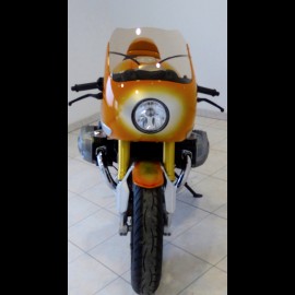 Tête de fourche sport