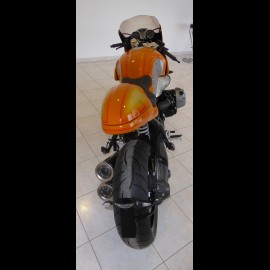  Coque  mono  biplace