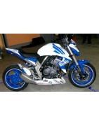 CB 1000 R (2008/2010)