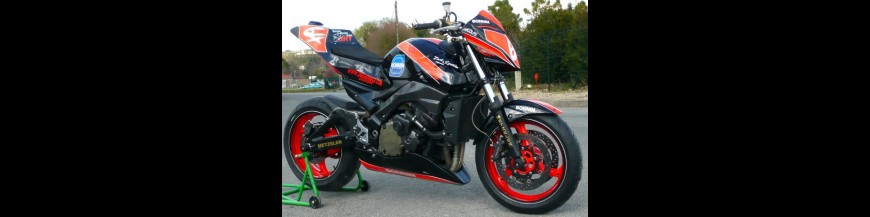 GSR 600 PISTE (2008)