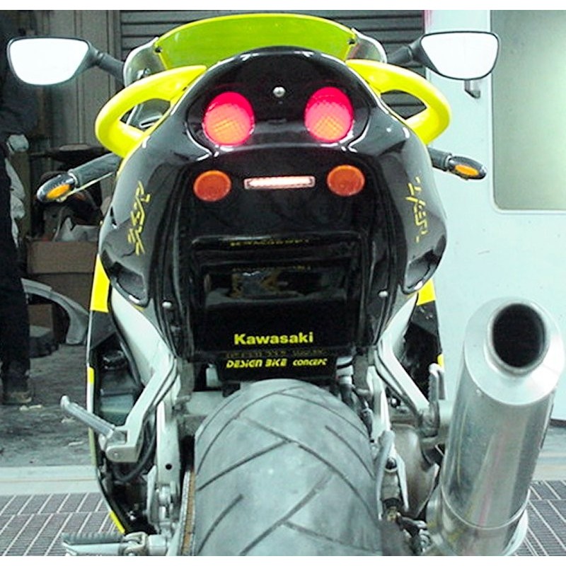 ZX9R (2000)