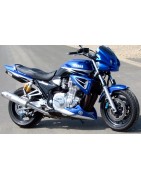 XJR 1300 (1998/2006)