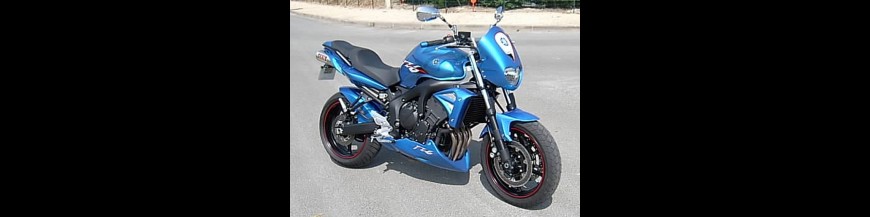 FZ6 S2 (2007)