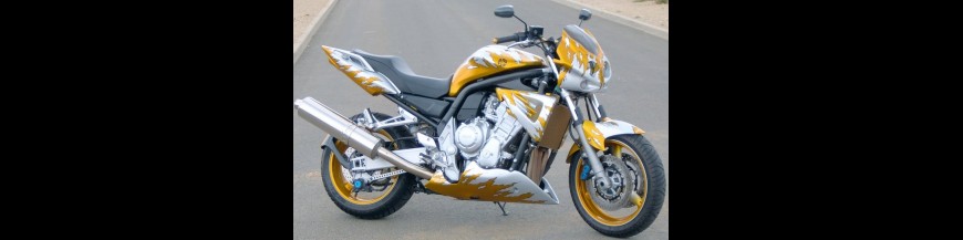 Fazer 1000 Street (2002)