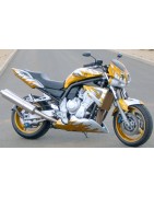 Fazer 1000 Street (2002)