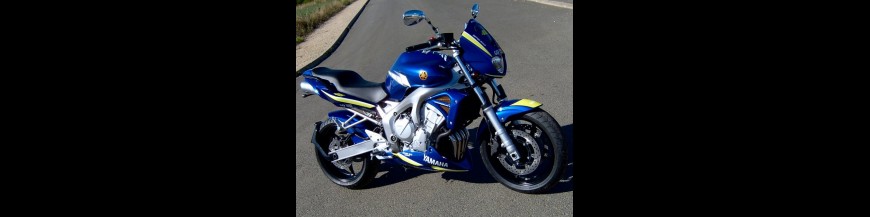 FZ6 (2004)