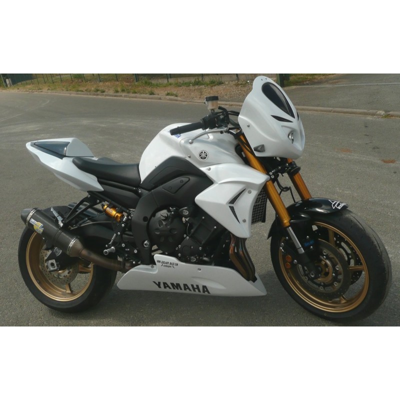 FZ8 (2011)