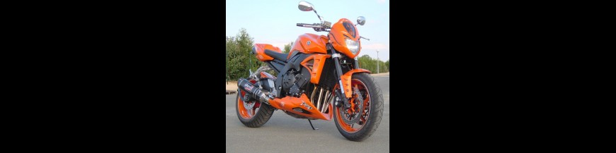 FZ1 Naked (2006)