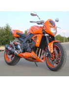 FZ1 Naked (2006/2013)