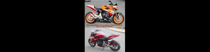 Hornet 600 (2007/2010)