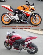 Hornet 600 (2007/2010)