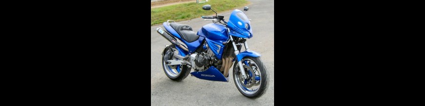 Hornet 600 (2000)
